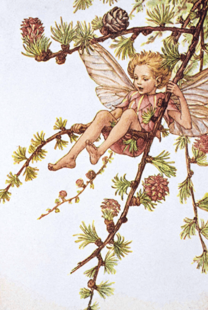 Children Book Illustration Styles Vintage The Larch Fairy by Cicely Mary Barker